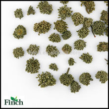 Beneficios de salud San Qi Hua Herbal Tea, Panax Notoginseng Flower Herbal Tea, Sanchi Flower Herbal Tea